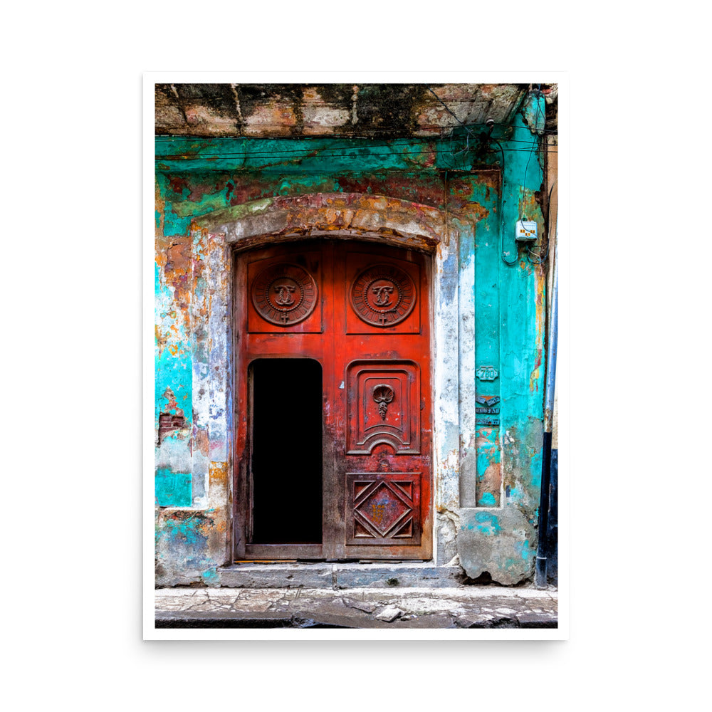 Red Door Poster